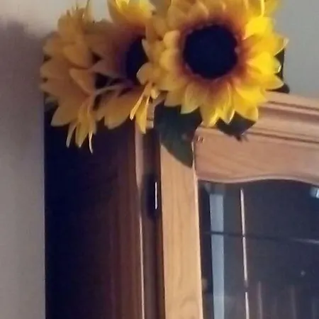Il Girasole Lejlighed